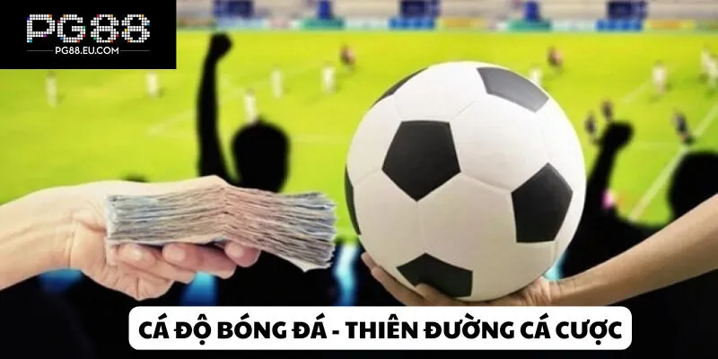 Cá độ bóng đá - Thiên đường cá cược cho các tay chơi