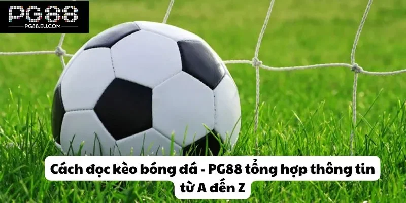 Cách đọc kèo bóng đá tại pg88