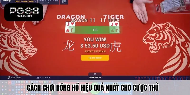 Cách Chơi Rồng Hổ hiệu quả nhất cho cược thủ